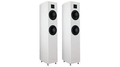 Gauder Akustik Arcona 80 MKII SD