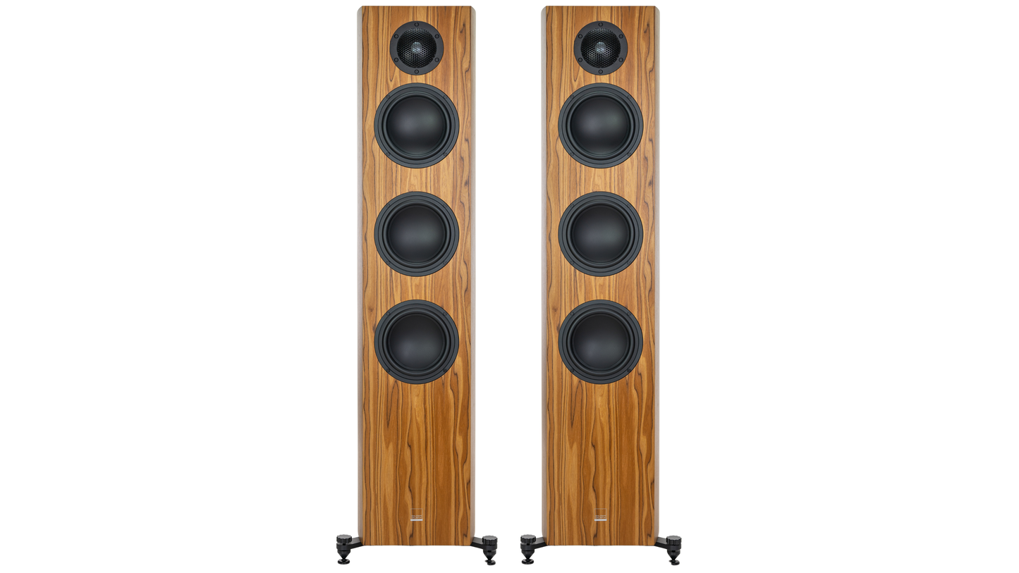 Gauder Akustik Capello 100 DV