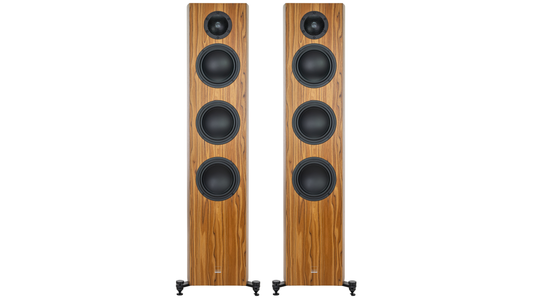 Gauder Akustik Capello 100 DV