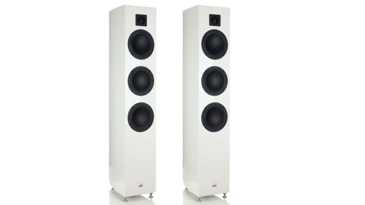 Gauder Akustik Arcona 100 MKII SD