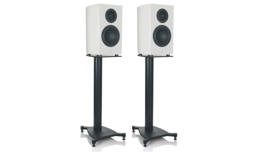 Gauder Akustik Capello 40 DV