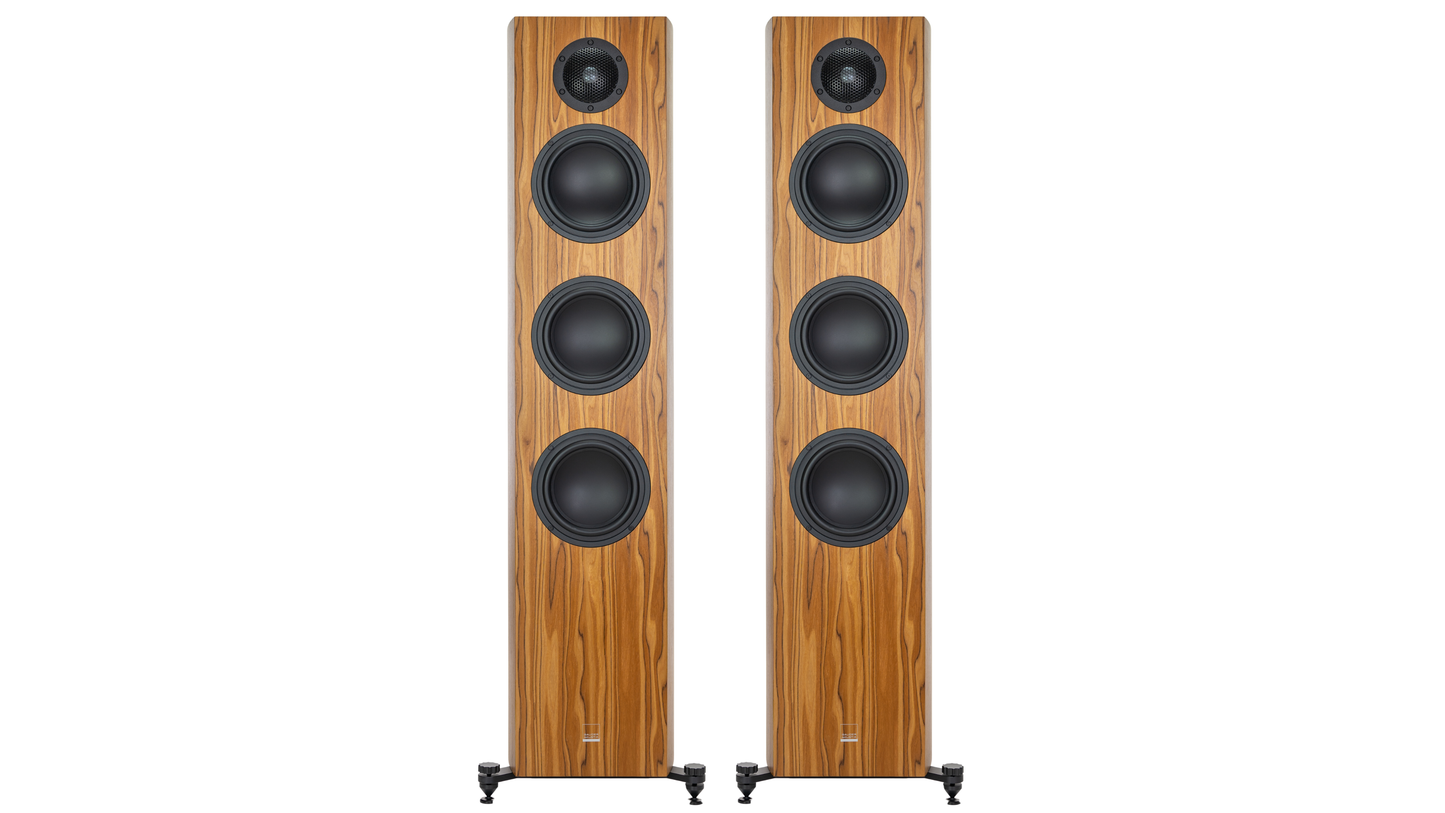 Gauder Akustik Capello 100 DV