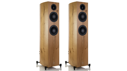 Gauder Akustik Capello 80 DV