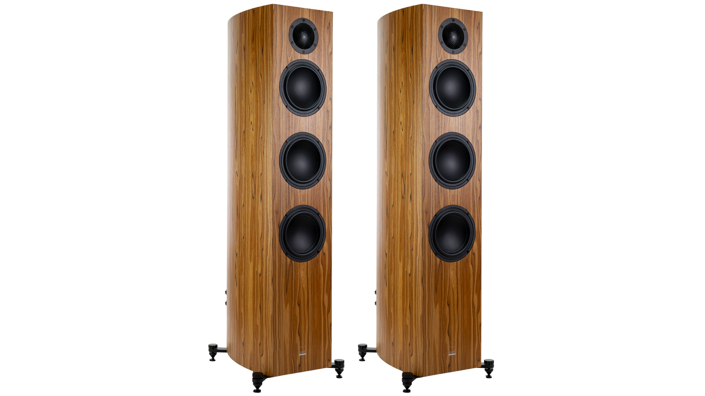 Gauder Akustik Capello 100 DV