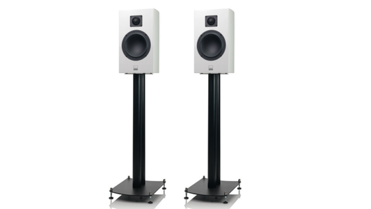 Gauder Akustik Arcona 40 MKII SD