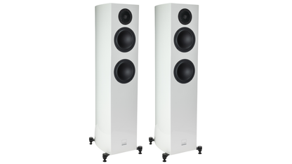 Gauder Akustik Capello 80 DV