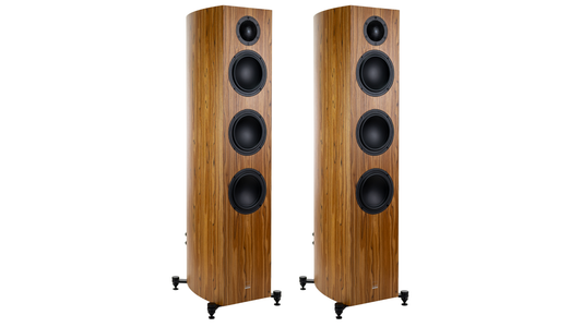 Gauder Akustik Capello 100 DV