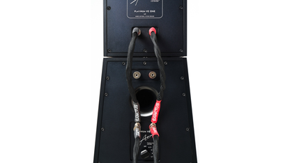 Monacoustic PlatiMon VC Two