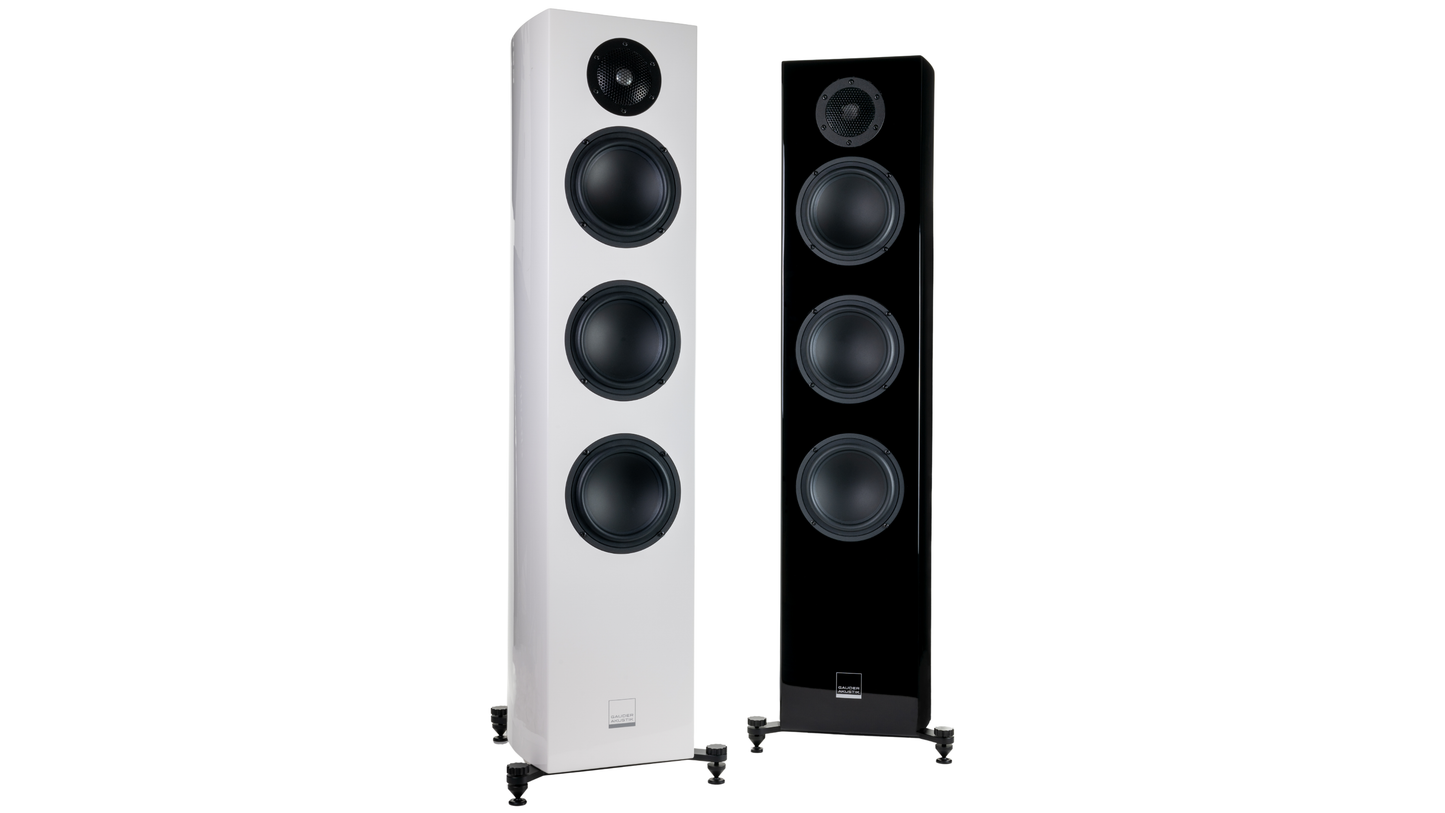 Gauder Akustik Capello 100 DV