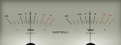 EverSolo T10 Streaming Transport